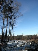 P2270084.JPG