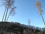 P2270089.JPG