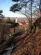 P2270104.JPG