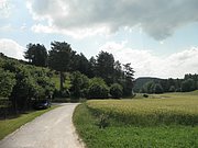 P6260036.JPG