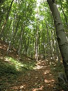 P6260042.JPG