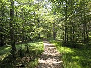 P6260044.JPG