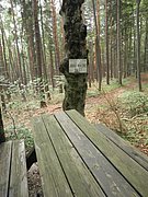 P6260046.JPG