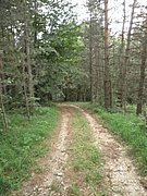 P6260060.JPG