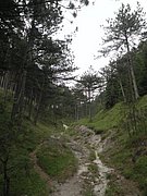 P6260072.JPG