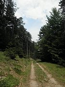 P6260080.JPG