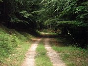 P6260082.JPG