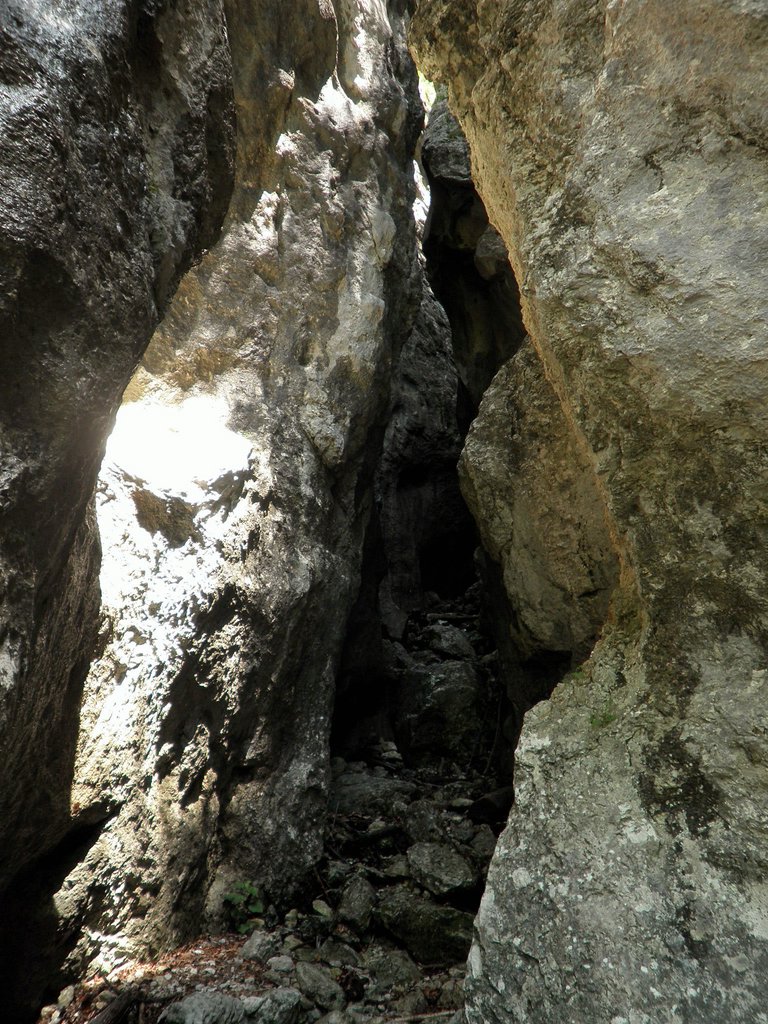 P6060017.JPG