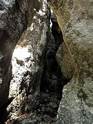 P6060017.JPG