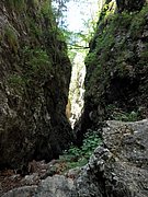P6060026.JPG