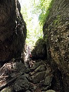 P6060034.JPG