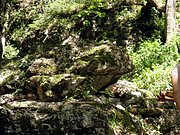P6060047.JPG