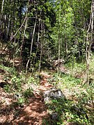 P6060054.JPG