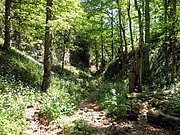 P6060061.JPG