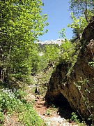 P6060065.JPG