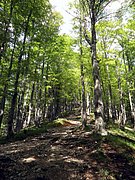 P6060083.JPG