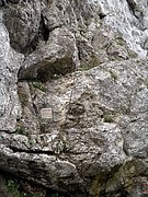 P6060086.JPG