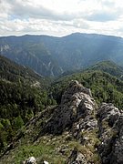 P6060095.JPG