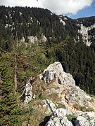 P6060100.JPG