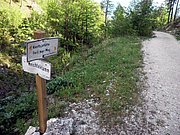P6060107.JPG