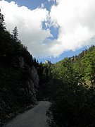 P6060108.JPG