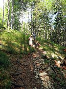 P6060112.JPG