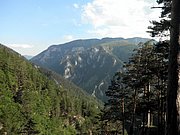 P6060120.JPG