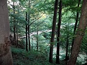P6060128.JPG