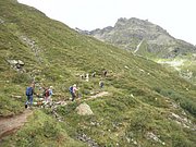 P8150032.JPG