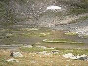 P8150084.JPG