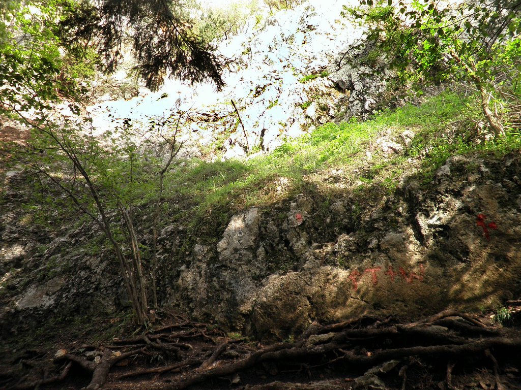 P5130001.JPG