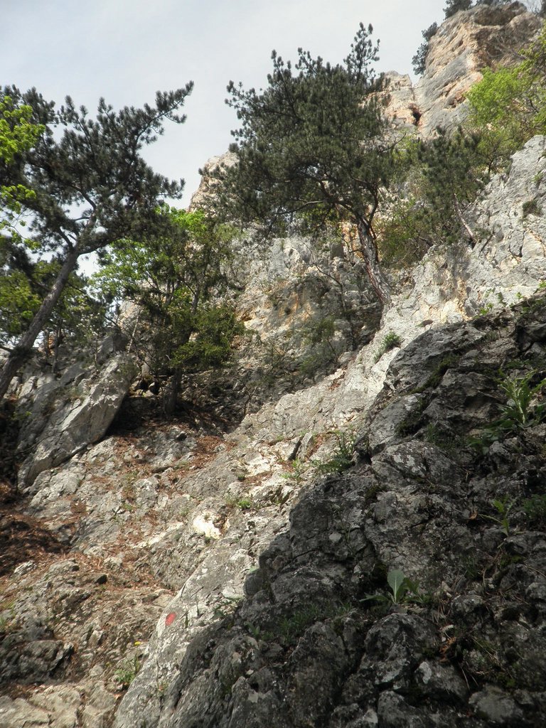 P5130002.JPG