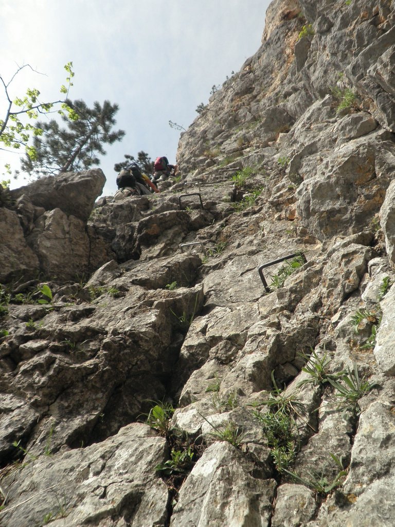 P5130006.JPG