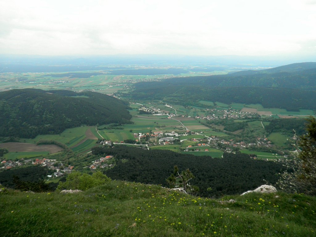 P5130015.JPG