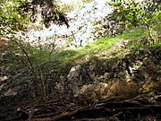 P5130001.JPG