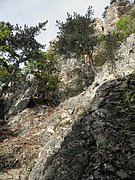 P5130002.JPG