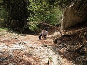 P5130003.JPG