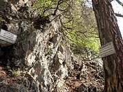 P5130004.JPG