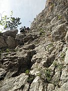 P5130006.JPG