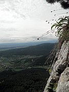 P5130008.JPG