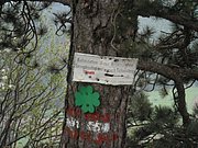 P5130017.JPG