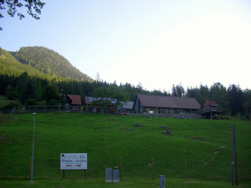 CIMG6746.JPG
