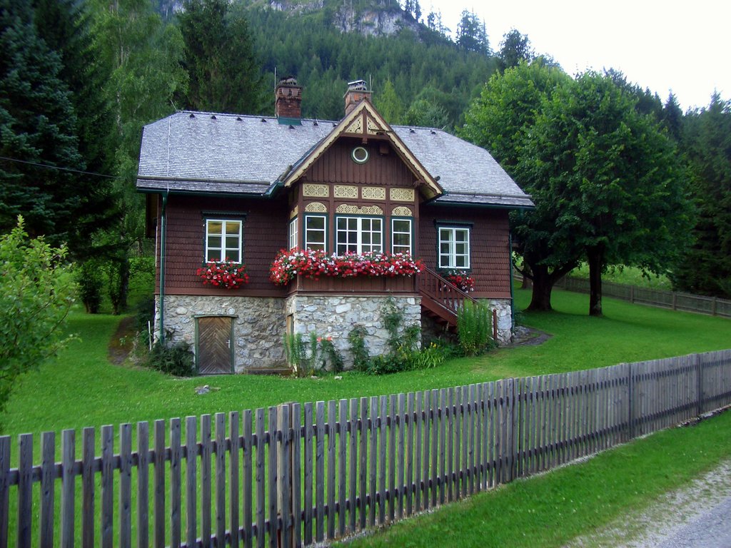 CIMG6750.JPG