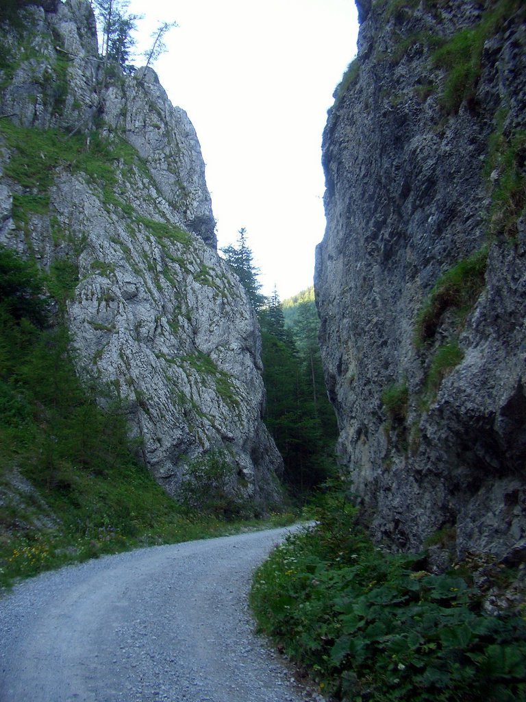 CIMG6756.JPG