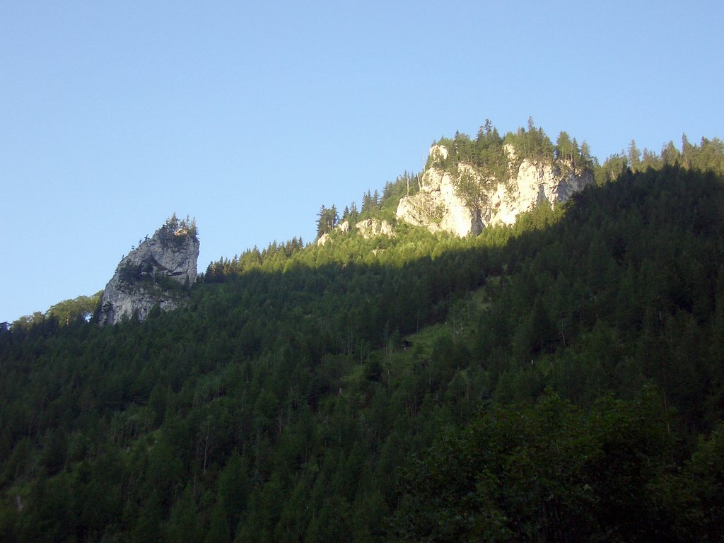 CIMG6758.JPG