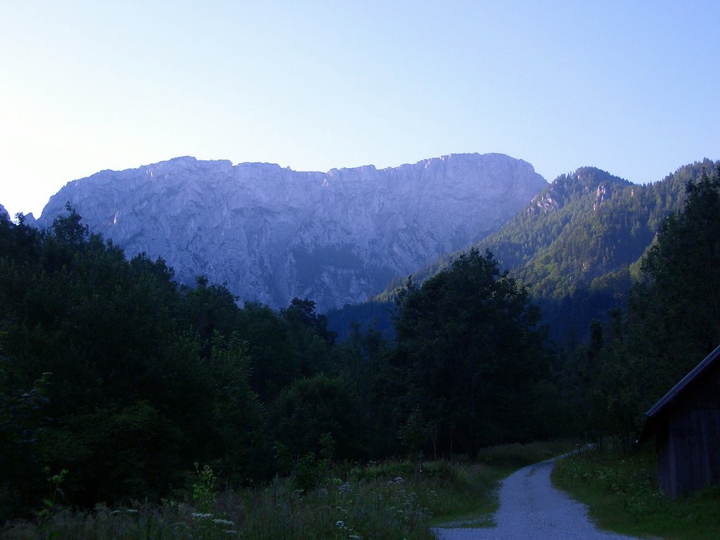CIMG6759.JPG