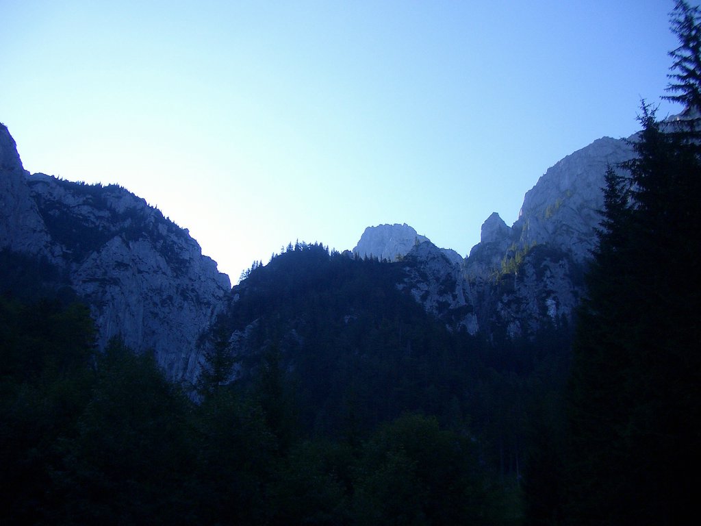 CIMG6767.JPG