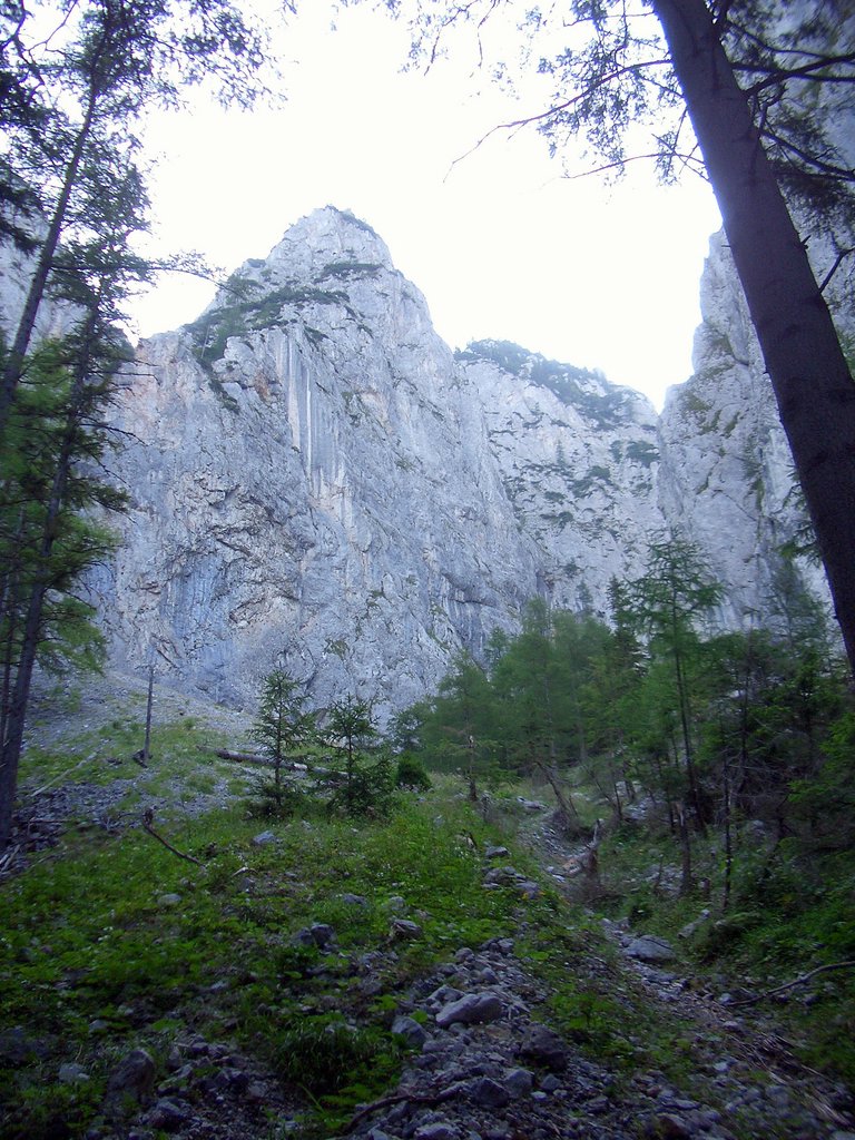 CIMG6771.JPG