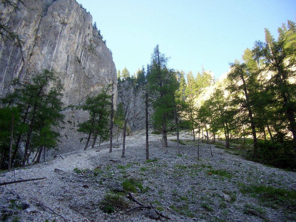 CIMG6775.JPG