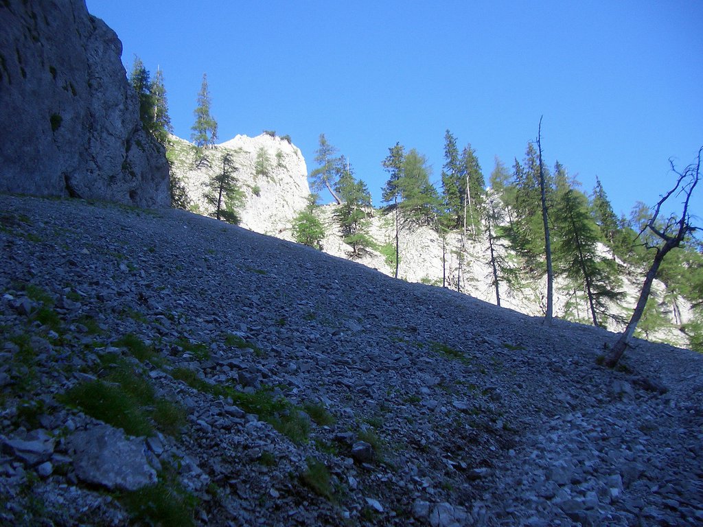 CIMG6778.JPG